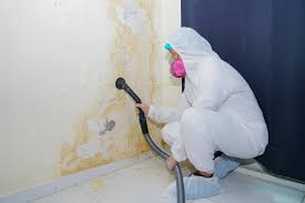 Best Crawl Space Mold Remediation  in Ol, LA